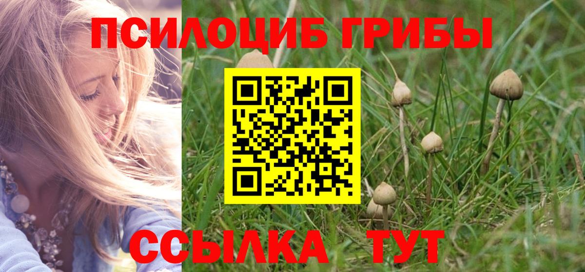 Псилоцибиновые грибы мухоморы  Вход с VPN  Гусев 
