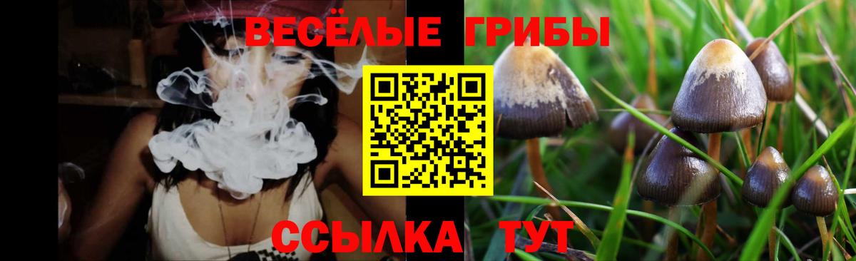 Галлюциногенные грибы мухоморы Гусев